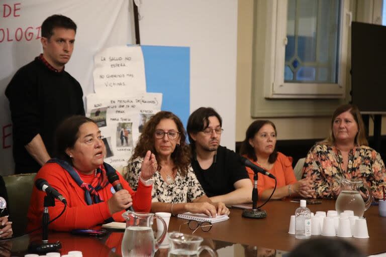 Las organizaciones dieron a conocer el amparo colectivo ayer en el salón del bloque de Unión por la Patria de la Cámara de Diputados