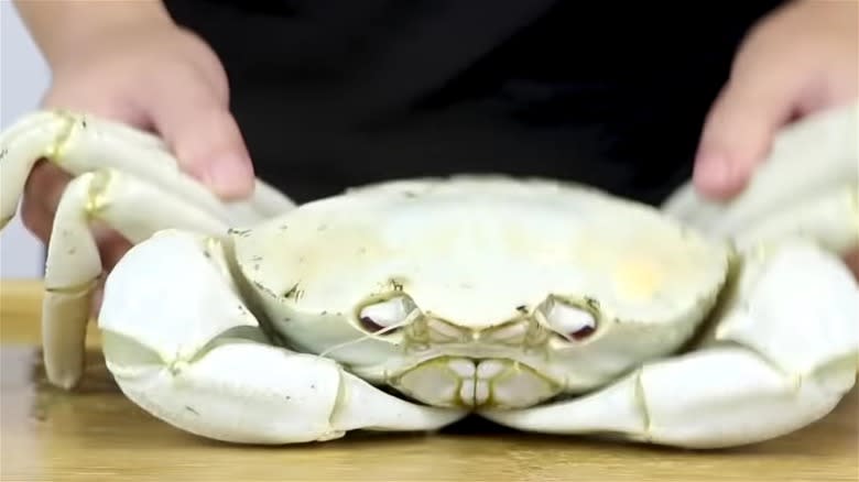 A crystal crab on bench