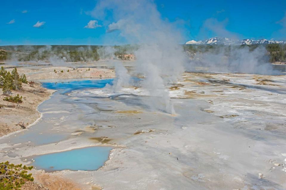 Porcelain Springs area of Norris Geyser Basin a very active thermal area in Yellowstone National Park, Wyoming.