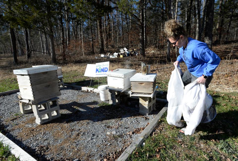 Jessica Dodds-Davis puts on a beekeeper suit to check her hives, Friday, Dec. 15, 2023, in Lebanon, Tenn.