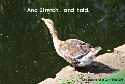 Yoga, Not Just For Geese