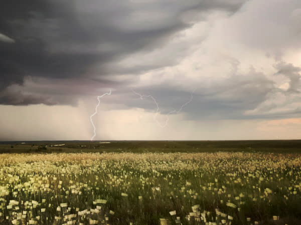 North of Hays, August 16, 2020. (Courtesy Brady Stephens)