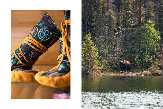 <p>Pat Kane</p> From left: Moose-hide beaded moccasins on display in the Łutsël K’é Dene First Nation’s office; a musk ox on the shore of Moose Bay, near Yellowknife.