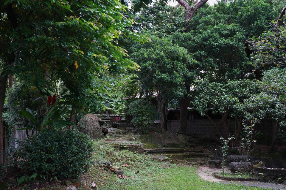 漫步在殷海光先生親手打造的庭院。