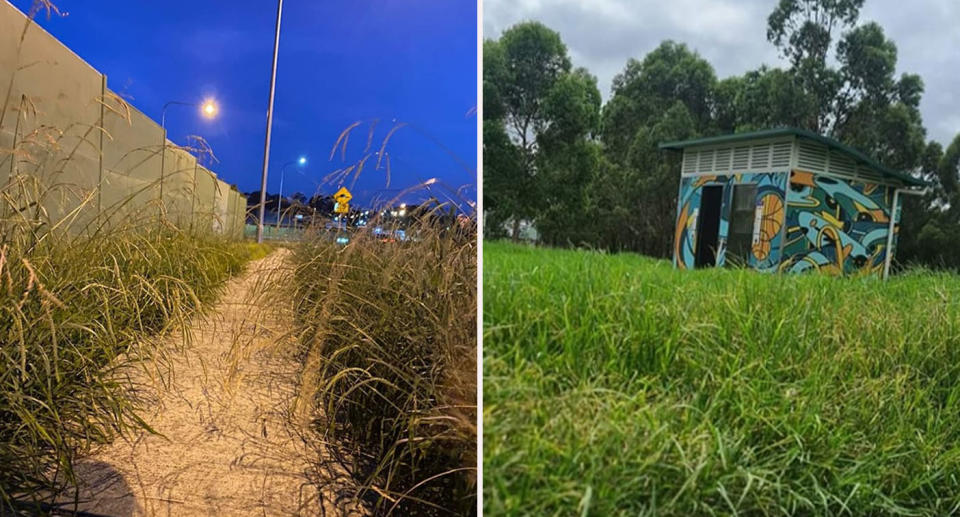 Left: Long grass covering a footpath Right: Long grass at a park near Liverpool.