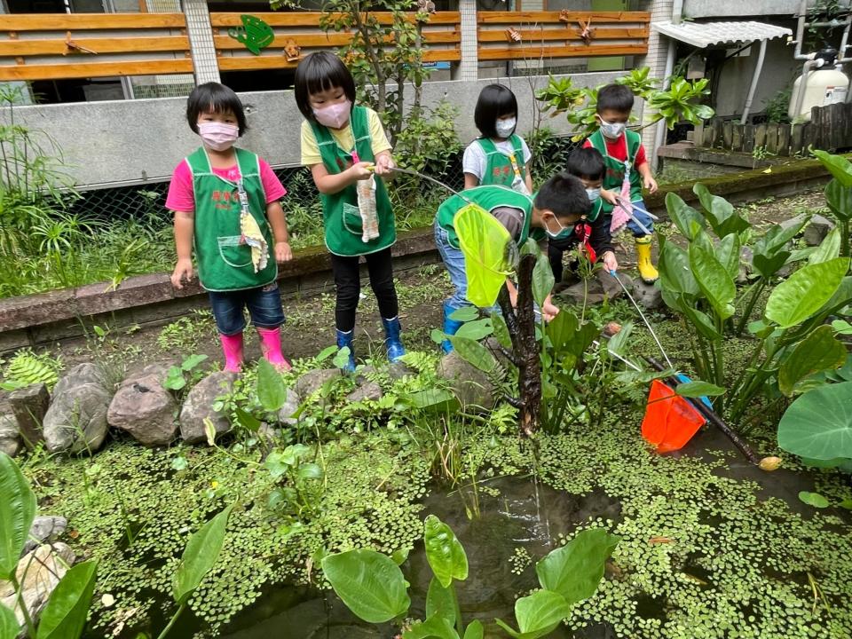 孩子在生態池學習 看看學校的菜園有甚麼不一樣