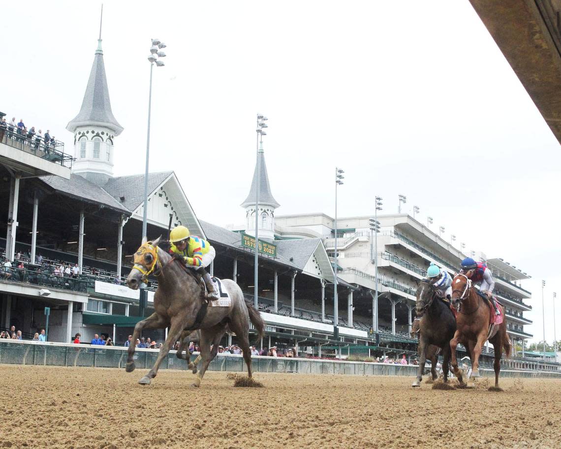 A Kentucky Derby guest was bitten by a stable pony on the Churchill Downs backside barn area. She sued and the Kentucky Supreme Court heard oral arguments on horse liability.