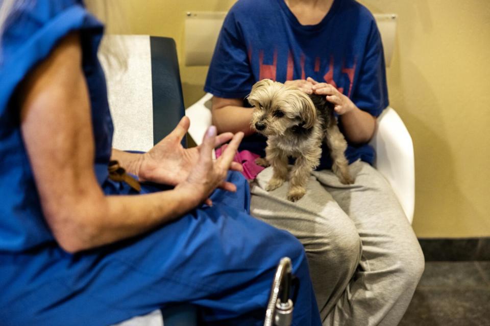 A patient strokes support dog Scooter in an exam room