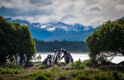 Patagonia. No Holiday Inn yet - Credit: GETTY