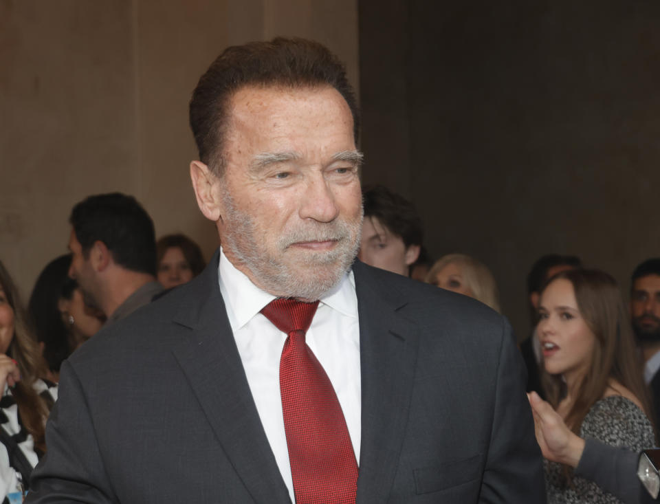 Arnold Schwarzenegger. Credit: Faye Sadou/MediaPunch /IPX