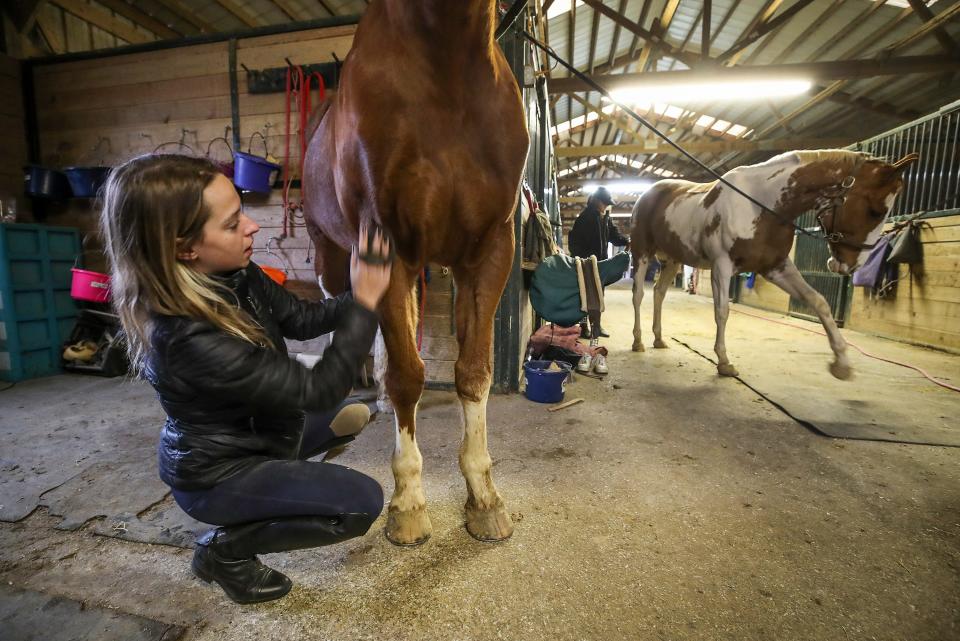 Grace Bieghler prepares horse, Buddy, as teammate Erin Flanagan prepares horse, Malibu, before Equitation practice for the University of Kentucky Equestrian Team on Monday, November 8, 2022.