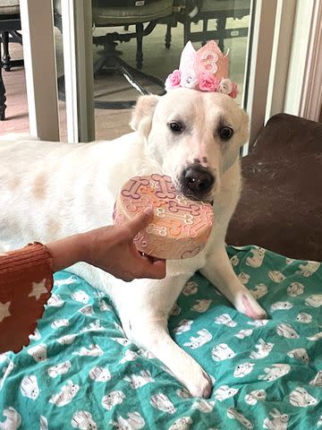 <p>Courtesy Karen Amos</p> Sudi enjoying her third birthday at her foster home