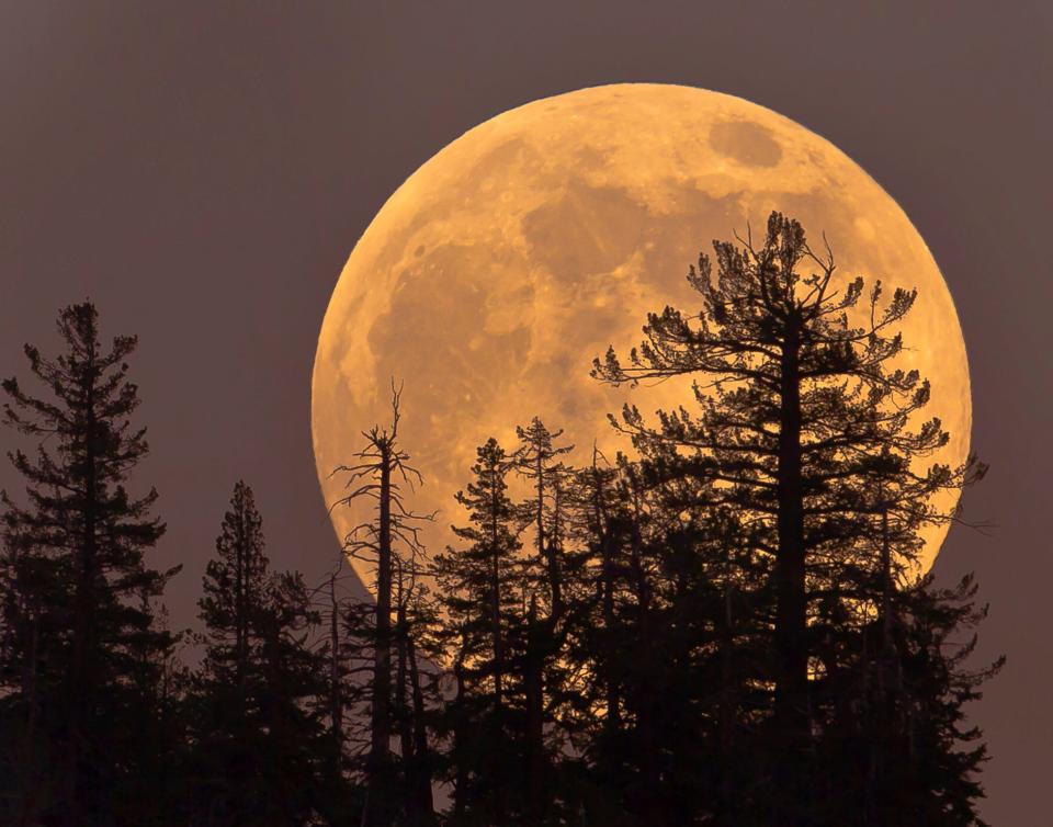 August to bring 2 supermoons, rare blue moon: Dates to know