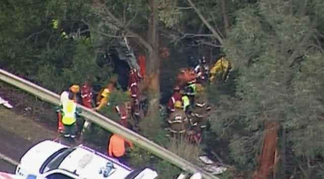 A woman has been killed and three others are injured after their minibus veered off Victoria's Great Ocean Road. Photo: 7News