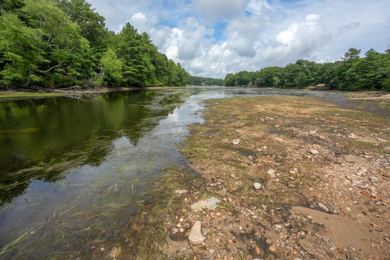 Water levels at Johnson's Pond in Coventry are at historically low levels. DEM announced that it has ordered the company that controls the pond's dam to restore the water level to normal.