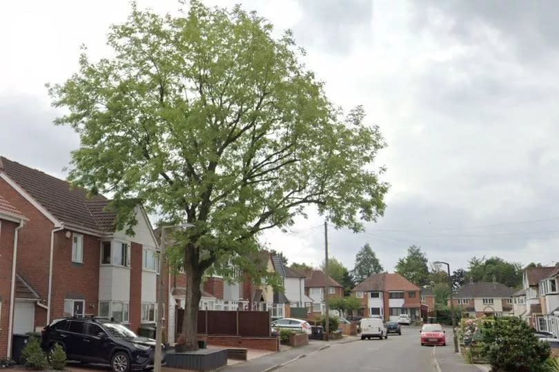 The Ash tree outside Kelly Palmer's home in Wiseacre Croft, Shirley, Solihull pictured in 2022 - a year before she had it illegally removed.