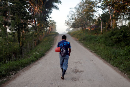 FILE PHOTO: A worker walks by a palm oil plantation in Chisec, Guatemala December 19, 2018. REUTERS/Luis Echeverria/File Photo