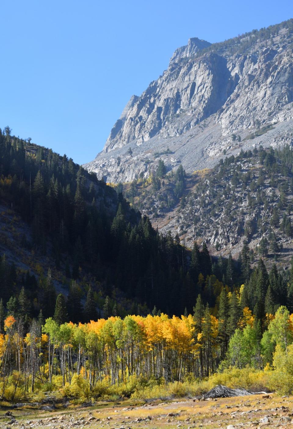 Fall colors surround Lundy Lake