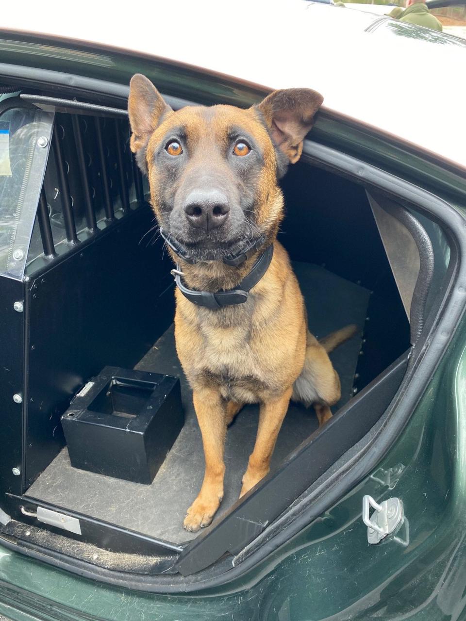 State Police K9 Kaiser subdued Michael D. Bennett Saturday morning in Rochester after Bennett allegedly led authorities on a chase through Maine and New Hampshire.