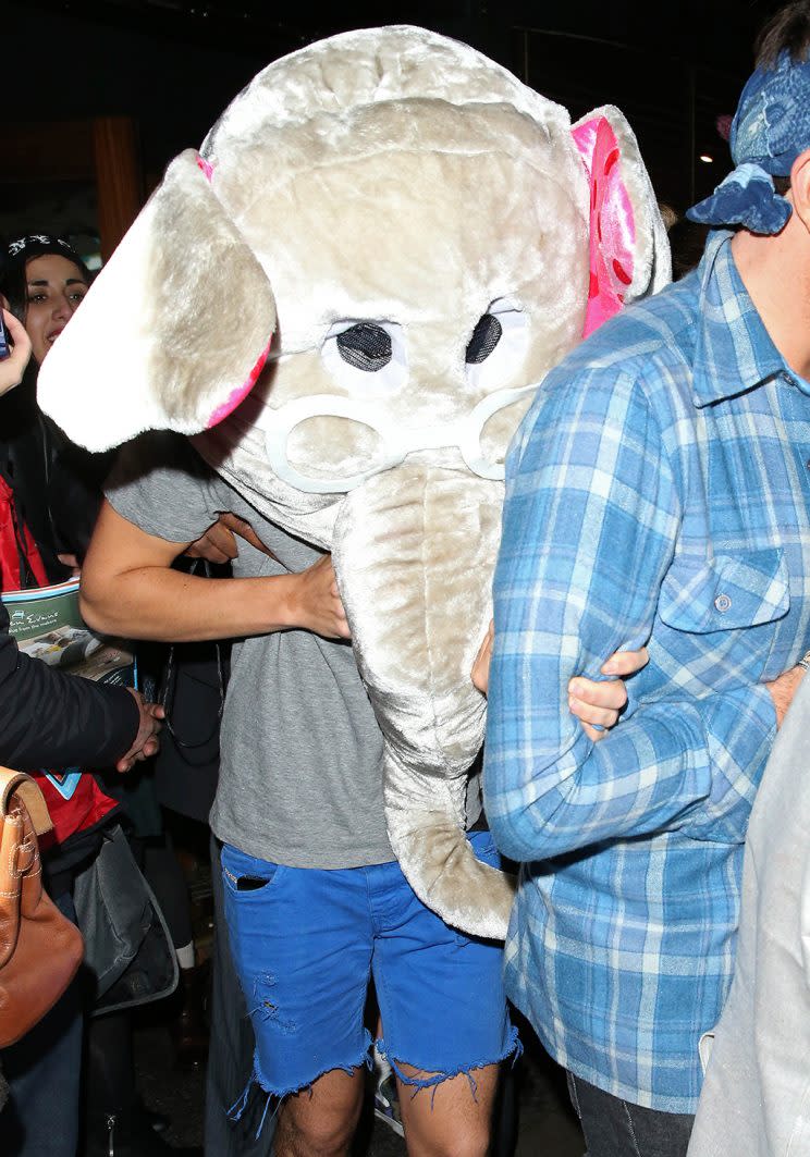 Harry Styles dresses as an elephant. (Photo: WeirPhotos/Splash News)