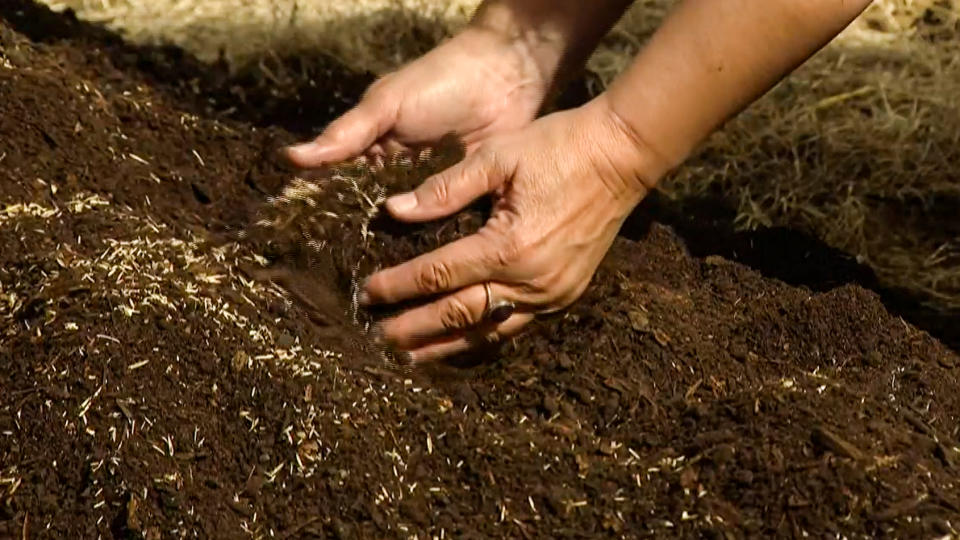 The remains of the first person to be composted were spread out in a ceremony in Fremont County, Colo., on March 20, 2022, after the process was made legal last year. (KUSA)