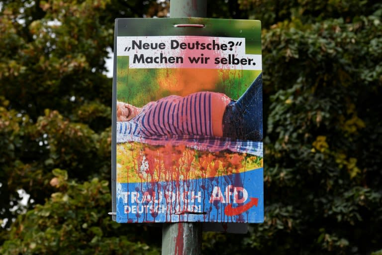 A poster from the far-right Alternative for Germany (AfD) reading: "We can make new Germans ourselves" is splattered with red paint in Berlin