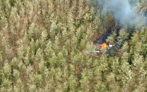 Photo released by Costa Rica's Public Safety Ministry shows crash site in dense woodland - Credit: AP