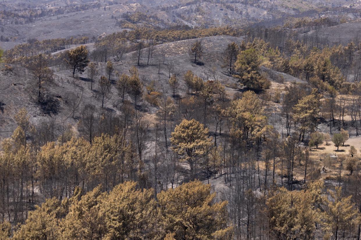 Burnt ground is seen on July 28, 2023 in Asklipio, Rhodes (Getty Images)