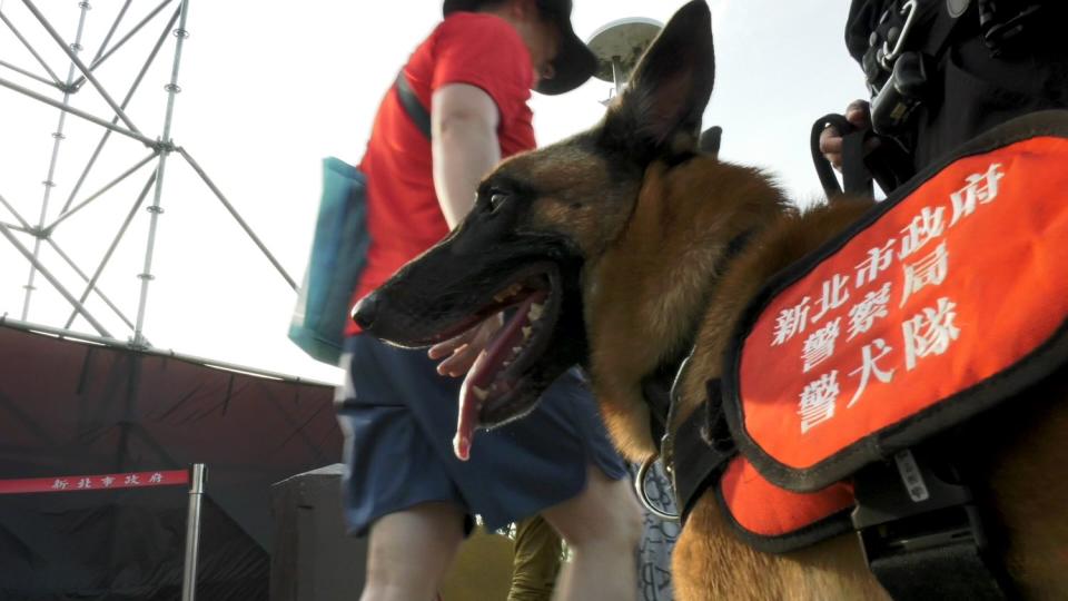 《K9 Canine》記錄新北市警犬隊從幼犬出生起，到訓練成為警犬的完整過程，以及警犬領犬員面對訓練挫折的心路歷程。   圖：新北市新聞局提供