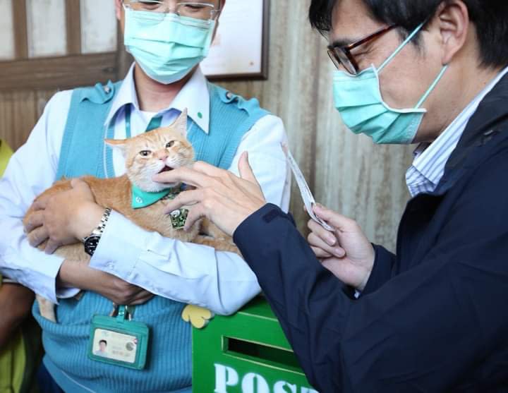 陳其邁親自餵食蜜柑。   圖：翻攝陳其邁臉書