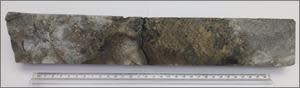 Part of a split section of drill core from hole FR-DD-23-UG-193 grading 72.4 g/t Au and 38 g/t Ag over a 0.36-metre core length.