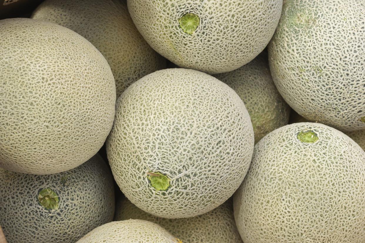 close-up of cantaloupes