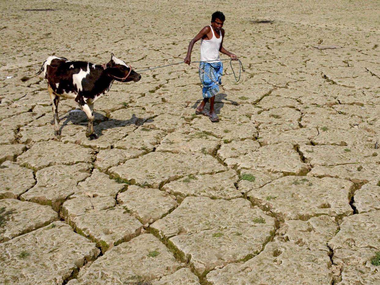 Water scarcity and crop failure are two of the climate change-induced problems that will force people to migrate: Getty Images