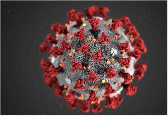 This illustration reveals ultrastructural morphology exhibited by the novel coronavirus, COVID-19.