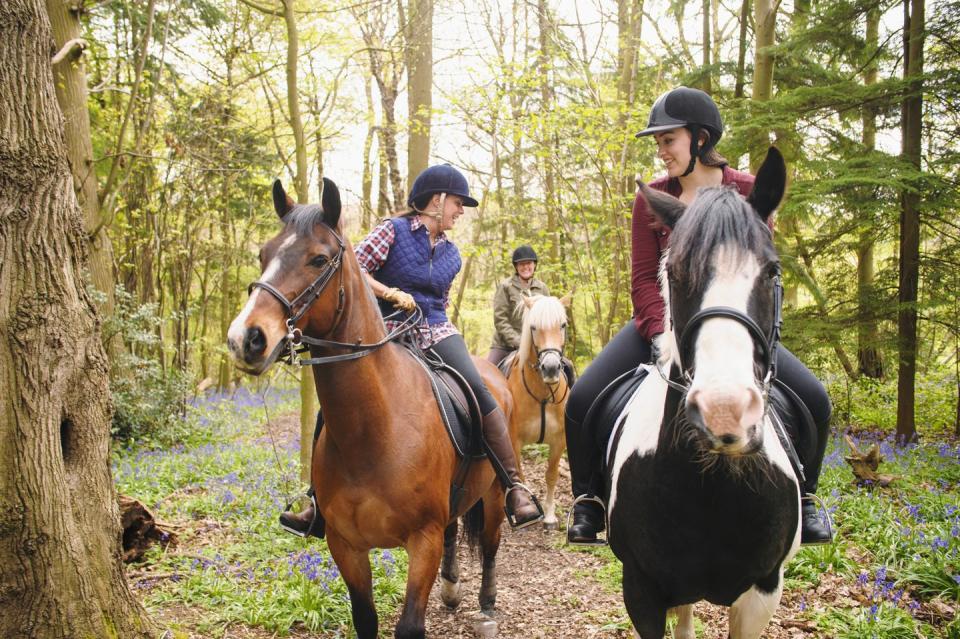 summer activitiess horseback riders talking in forest