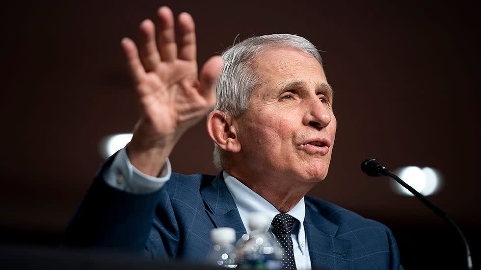 Dr. Anthony Fauci, White House Chief Medical Advisor and Director of the NIAID, answers questions during a Senate Health, Education, Labor, and Pensions Committee hearing on Jan. 11, 2022.