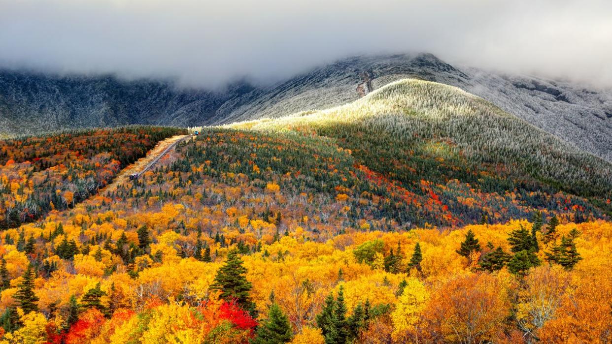 best places to see fall foliage