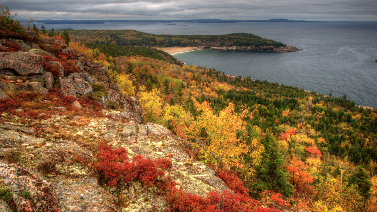 best places to see fall foliage