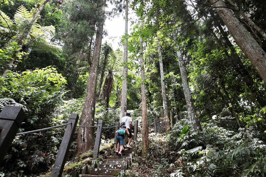 五指山橫向步道