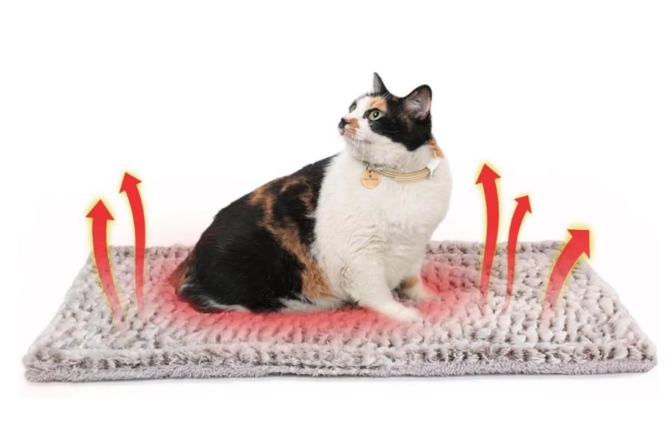 Dein Haustier wird die selbstwärmende Decke lieben! (Bild: Amazon)