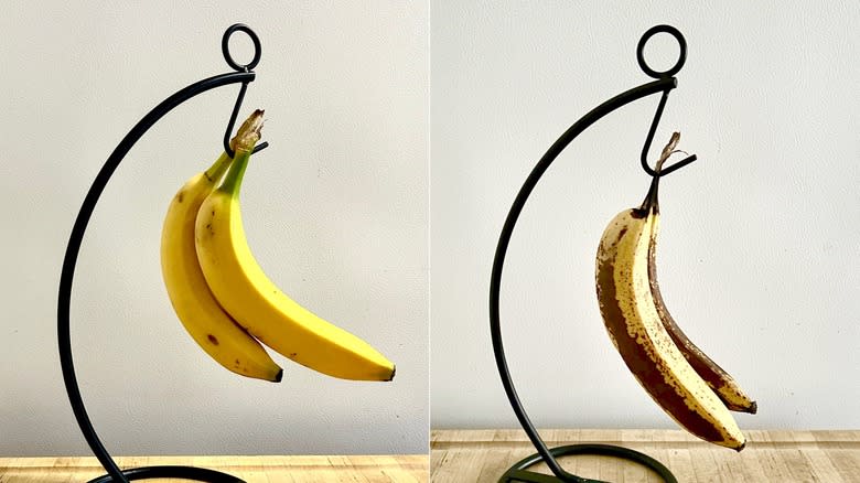 Hanging bananas