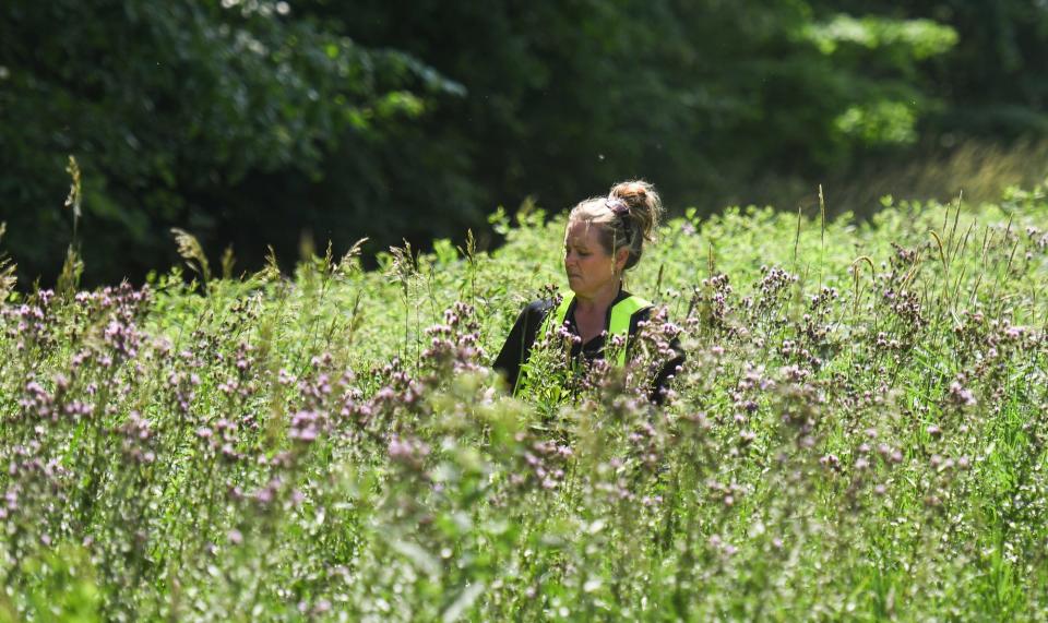 A member of the Lansing Police Department searches a tree-lined area along eastbound Interstate 96 near the Williamston Road exit on July 5 for two-year-old Wynter Cole Smith, who had been missing since July 2. Wynter's body was later discovered in Detroit.