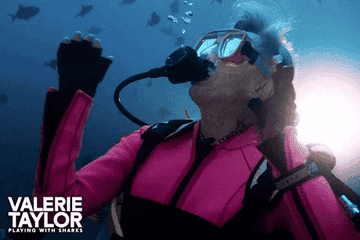 Valerie Taylor scuba diving underwater, surrounded by fish, wearing a diving suit and gear. The text reads "Valerie Taylor: Playing with Sharks"