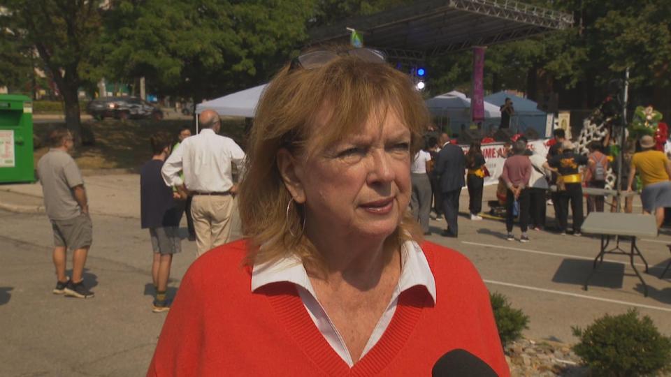 Mississauga Mayor Carolyn Parrish said Ridgeway Plaza has too many food outlets and not enough parking. She said driving-related issues in the area have worsened over the past couple of years. 