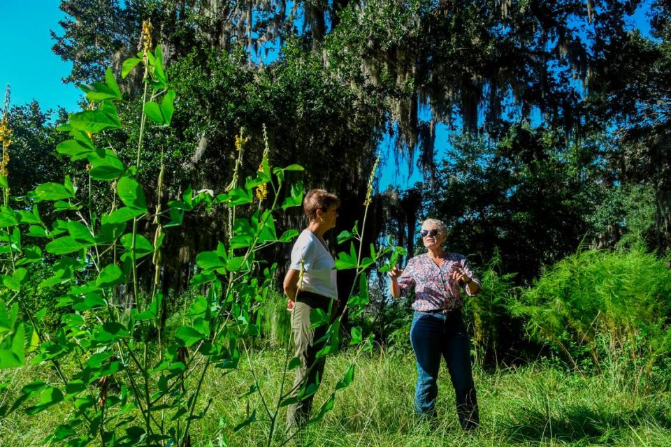 Sylvia Woolard, left, and master gardener Hope Cunningham stand next to the massive live oak in Cherry Hill Plantation on Sept. 21, 2022, in Port Royal. Drew Martin/dmartin@islandpacket.com