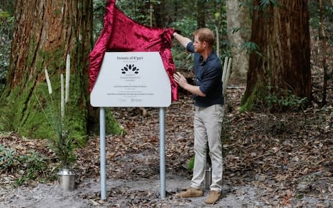 The Duke of Sussex unveils a plaque, saying the technique 'runs in the family' - Credit: Chris Jackson /Getty