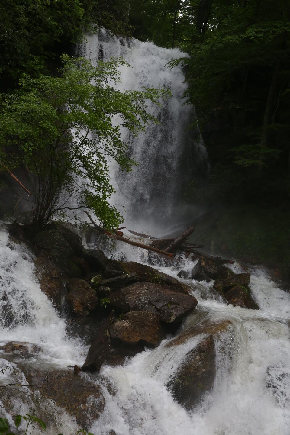 <p>Here are some more photos of Anna Ruby Falls. (Photo by <strong><a href=