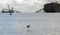 The site of the collapsed Francis Scott Key Bridge and the container ship that toppled it, Dali, right, are seen from a debris retrieval vessel, the Reynolds, April 4, 2024. (Kaitlin Newman/The Baltimore Banner via AP)