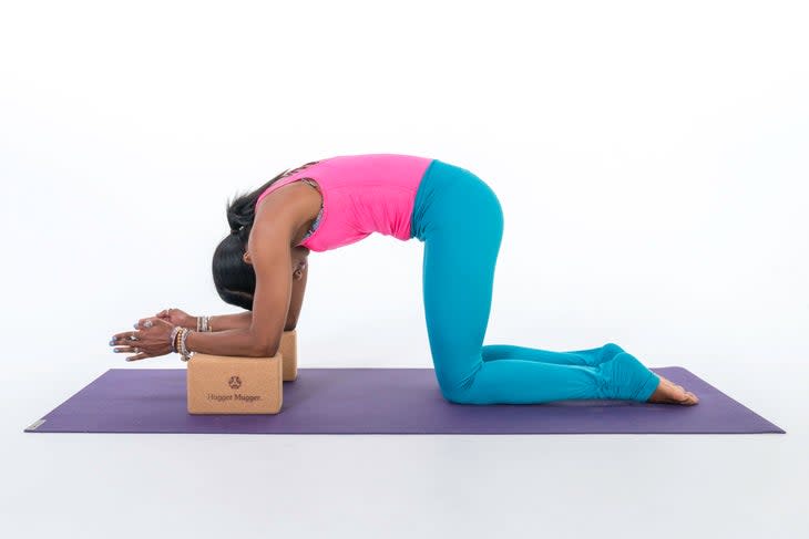 A person demonstrates Cat Pose with her forearms on blocks