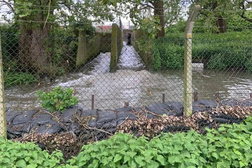 Sewage discharge from Rye Meads Sewage Treatment Works, as seen from Stanstead Bury Farm, on the weekend of April 27 and April 28, 2024